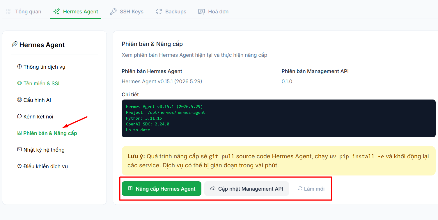 Hướng dẫn đăng ký và sử dụng VPS Hermes Agent chi tiết cho người mới 17 2.4. Quản lý phiên bản và nâng cấp