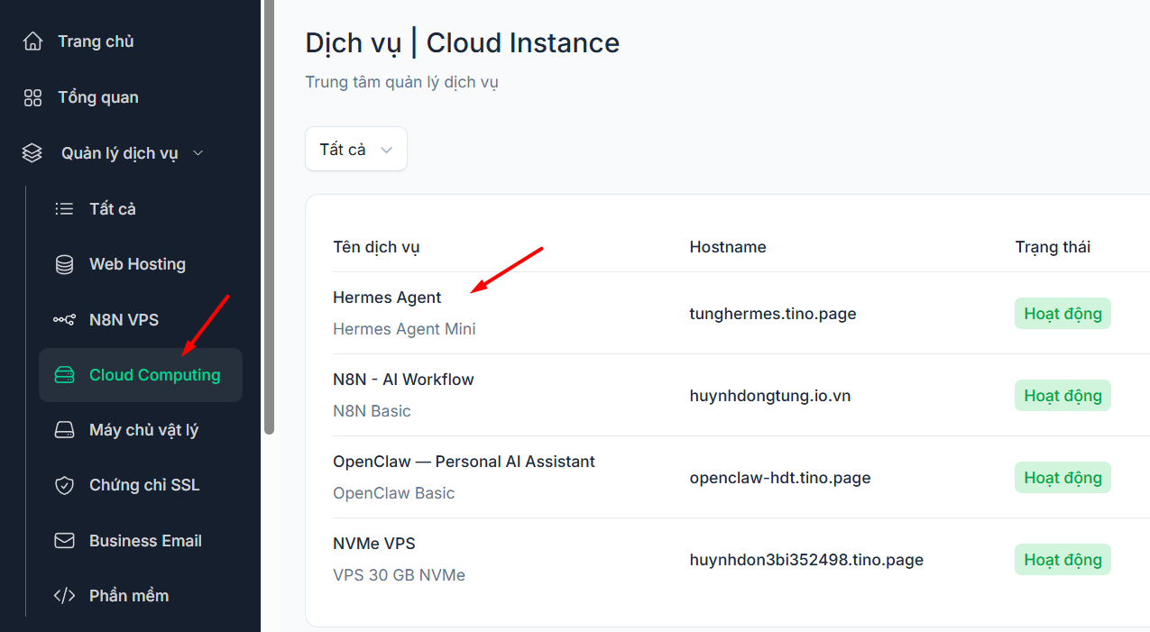 Hướng dẫn đăng ký và sử dụng VPS Hermes Agent chi tiết cho người mới 9 2.1. Truy cập dịch vụ