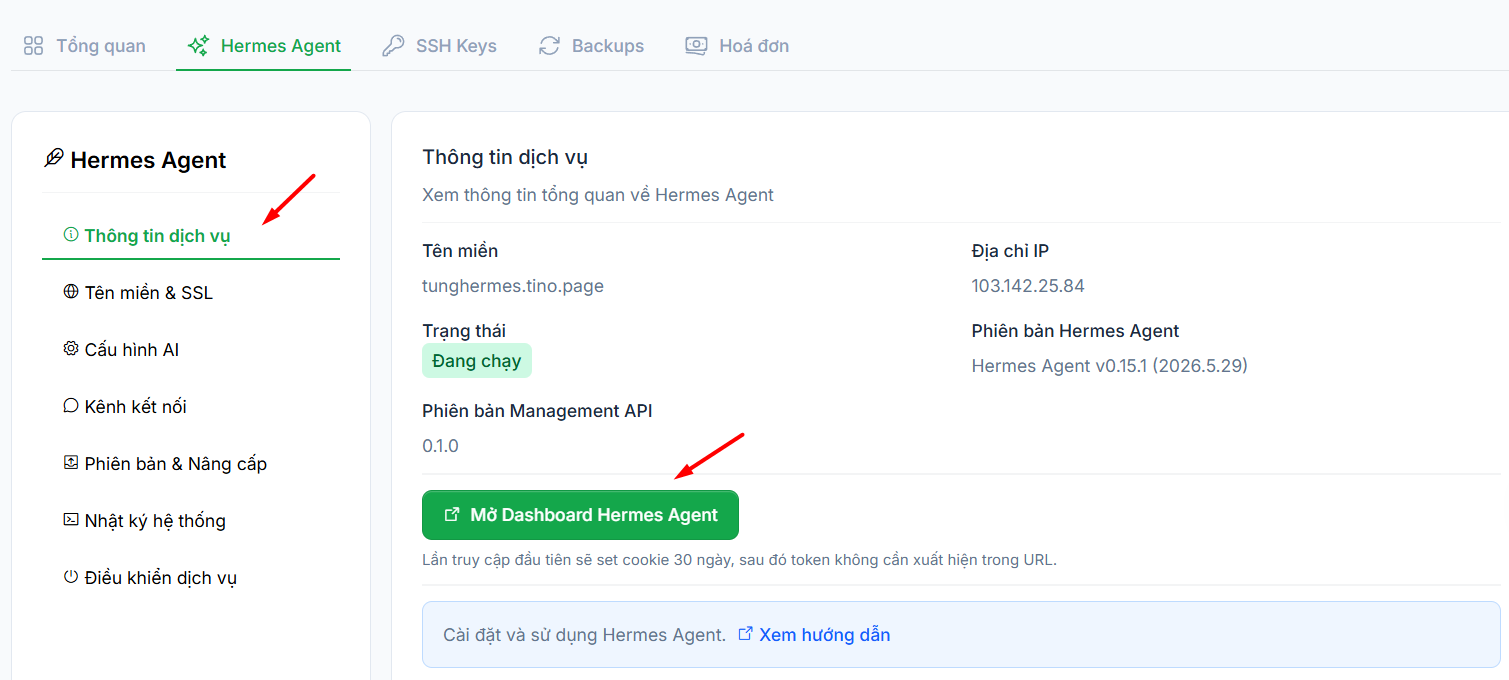 Hướng dẫn đăng ký và sử dụng VPS Hermes Agent chi tiết cho người mới 10 2.1. Truy cập dịch vụ