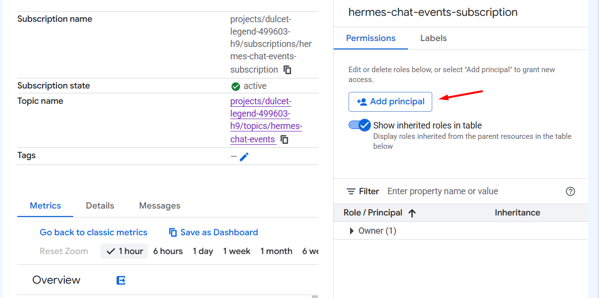 Hướng dẫn kết nối Google Chat với Hermes Agent A-Z 30 Bước 8: Cấp quyền để Hermes đọc Subscription