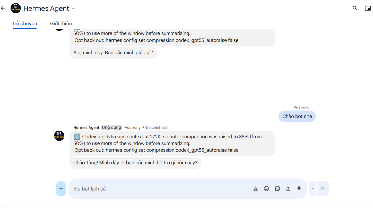 Hướng dẫn kết nối Google Chat với Hermes Agent A-Z 43 Bước 14: Test bot trong Google Chat
