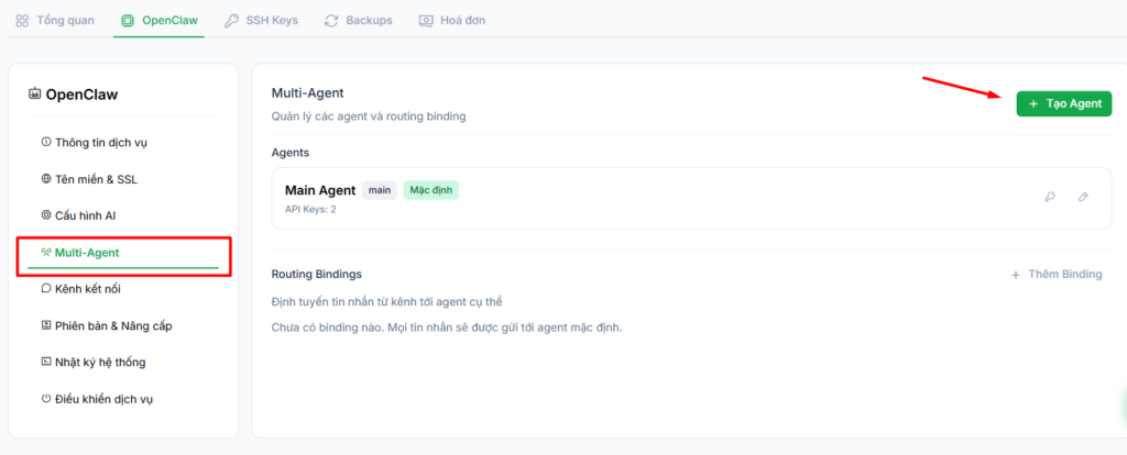 Cấu hình Agent trên OpenClaw