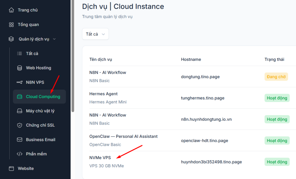 Hướng dẫn truy cập và lấy thông tin VPS tại Tino 3 Lấy thông tin VPS trên trang quản lý Tino