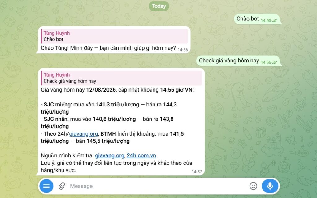 Hướng dẫn truy cập và cấu hình VPS Hermes Agent sau khi đăng ký tại Tino 20 Kiểm tra Hermes Agent sau khi cấu hình