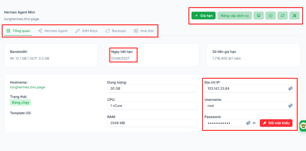 Hướng dẫn truy cập và cấu hình VPS Hermes Agent sau khi đăng ký tại Tino 3 Khám phá trang tổng quan VPS Hermes Agent