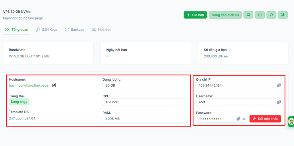 Hướng dẫn truy cập và lấy thông tin VPS tại Tino 4 Tổng quan
