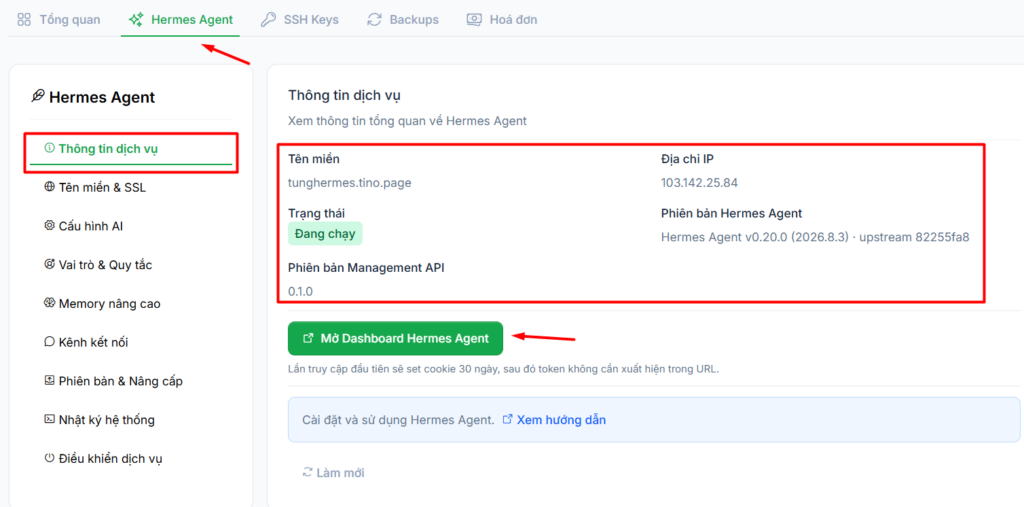 Hướng dẫn truy cập và cấu hình VPS Hermes Agent sau khi đăng ký tại Tino 4 Kiểm tra thông tin dịch vụ