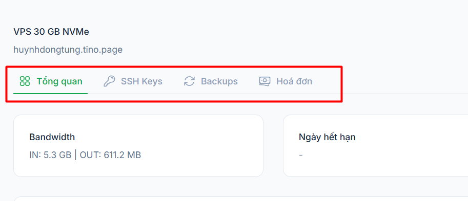 Hướng dẫn truy cập và lấy thông tin VPS tại Tino 6 Các tính năng khác trên trang quản lý VPS
