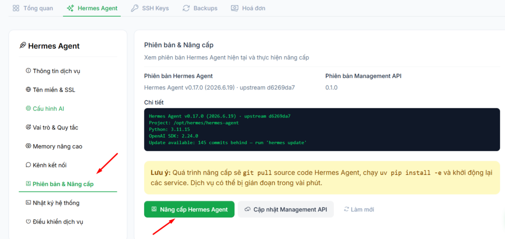 Hermes Agent v0.20.0 (2026.8.3): Bản cập nhật “The Herald” đưa AI Agent lên một cấp độ mới 8 Sử dụng VPS Hermes của Tino