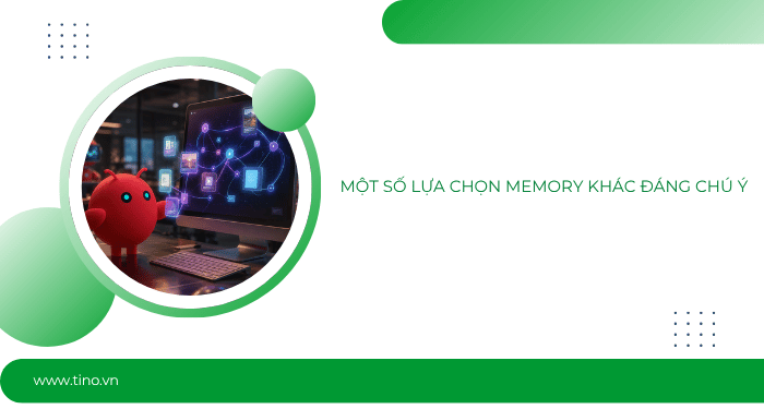 Một số lựa chọn memory khác đáng chú ý