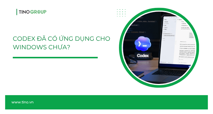 Codex đã có ứng dụng cho Windows chưa?